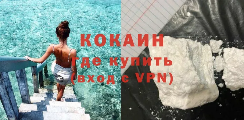 Cocaine Эквадор  где купить наркоту  Звенигово 